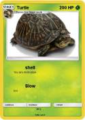 Turtle