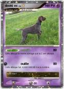 dooki ex