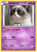 grumpy cat