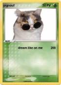 pignouf