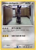 chiens intellig