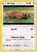 Mr. Dog