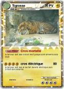 Tigrosse
