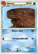 Beaver!!