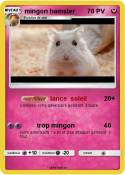 mingon hamster