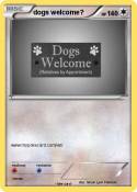 dogs welcome?