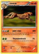 cheetah