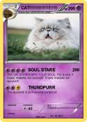 CAT!!!!!!!!!!!!