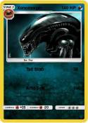 Xenomorph