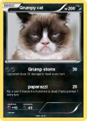 Grumpy cat