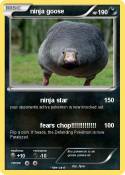 ninja goose