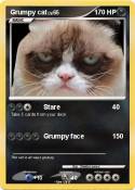 Grumpy cat