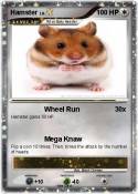 Hamster