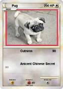 Pug