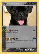 pug