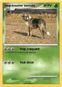 loup-bouvier