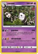 pandas