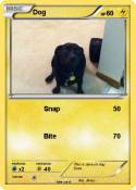 Dog