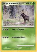 berger allemand