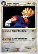 Super Végéto