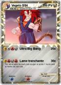 Vegeto SS4