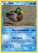 Duck