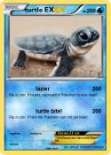 turtle EX