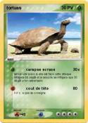 tortuas