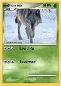 malinois mix