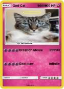 God Cat 90000