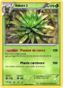 Nature 2