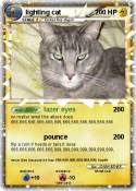 lighting cat