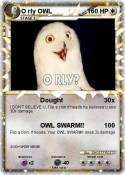 O rly OWL