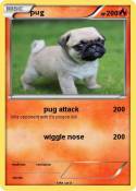 pug