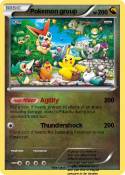 Pokemon group