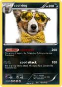 cool dog