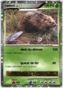 castori