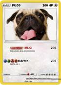 PUG0