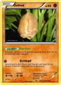Oothek
