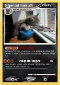 Sniper cat male