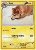Doge