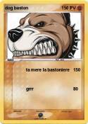 dog baston