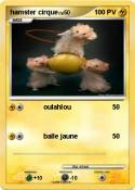hamster cirque