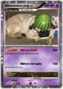 Watermelon pug