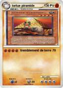 tortue piramide