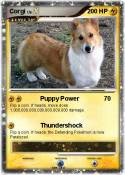 Corgi