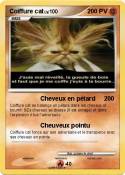 Coiffure cat
