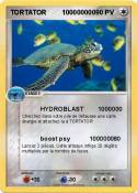 TORTATOR 100000