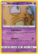 Not cute cat