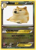 doge